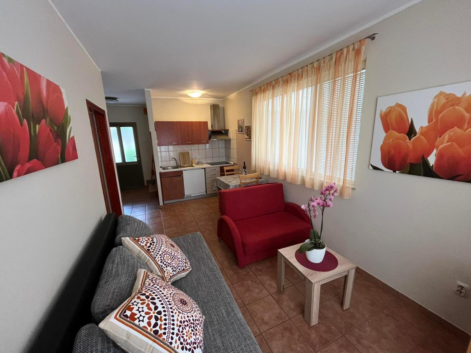 Family Apartments Suzi Ровинь Экстерьер фото